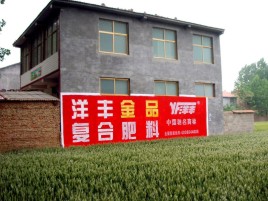 楚雄如何让墙体广告展现最大化效果