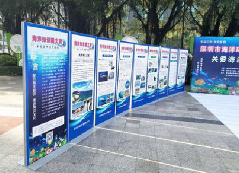 楚雄KT板的种类和知识。